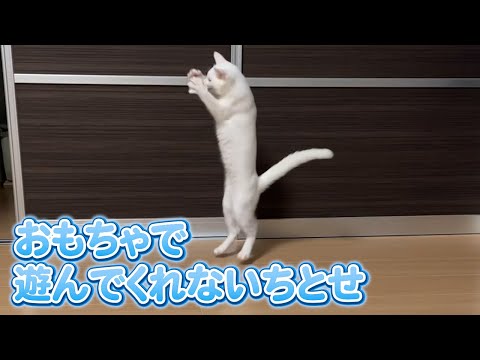 運動音痴のちとせ