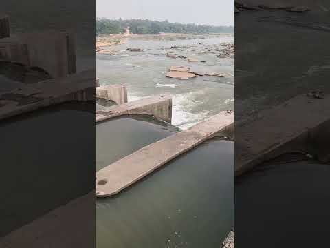 Dubna laga tha #shorts