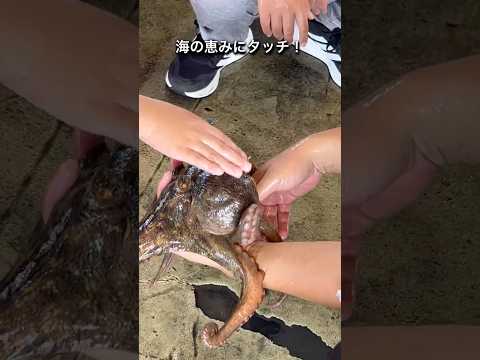 【明石市】漁師さんの船に乗って明石の海を体感しよう!