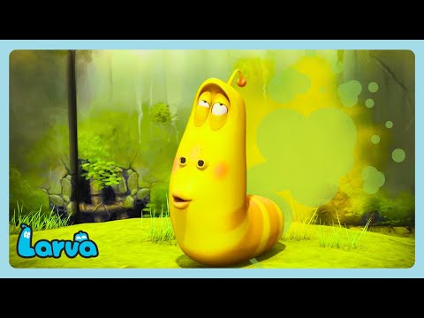 Larva - إطلاق الريح | 子供向け漫画 | WildBrain ジャパン