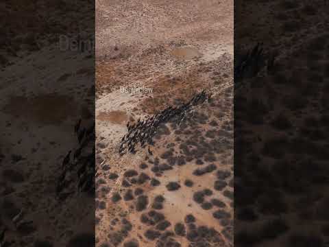 Bazen yalnız kalmak iyidir ❤️🩹 #yalnız #sadakat #ömür #eskiler #eskiden #edits #hayat #insan #huzur