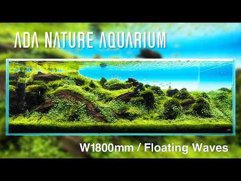 [ADAview] フローティング・ウェーブス - W1800mm Nature Aquarium Layout-【EN/JP Sub.】