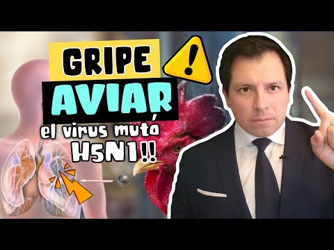 GRIPE AVIAR H5N1 MUTA  ? - AFECTA A CEREBRO DE MAMÍFEROS