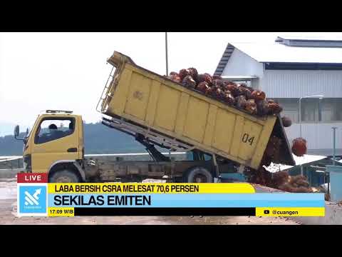 Lonjakan Kinerja PT Cisadane Sawit Raya: Pendapatan Tembus Rp1,33 Triliun hingga Q3 2025