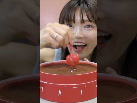 【ASMR】韓国で話題のハートティラミス買って食べてみたら、上パリパリチョコの超ハイレベルティラミスだった。