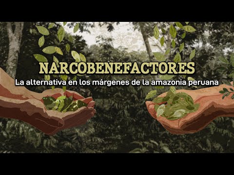 Narcobenefactores, el tributo del narco en los márgenes de la Amazonía peruana| #LR