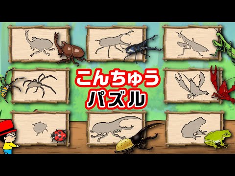 【こんちゅうアニメ】昆虫パズル！カブトムシ、クワガタ 、ヘラクレスオオカブト、カマキリ、スズメバチ、アメリカザリガニ〈知育アニメ・日本語・ひらがな〉insect beetle stag Puzzle