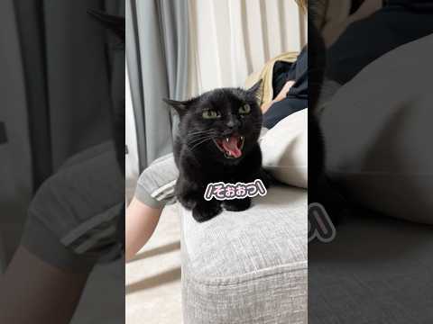妻の事は大好きだけど…
