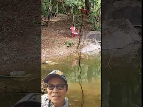 Entertainment giải trí và du lịch