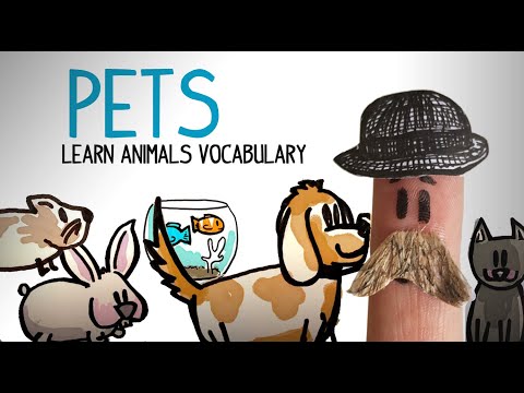 Vocabulary animals in English: pets. Learn English videos