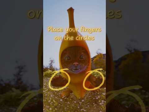 Holding a Banana Cat on a Sunny Day 🫶💛