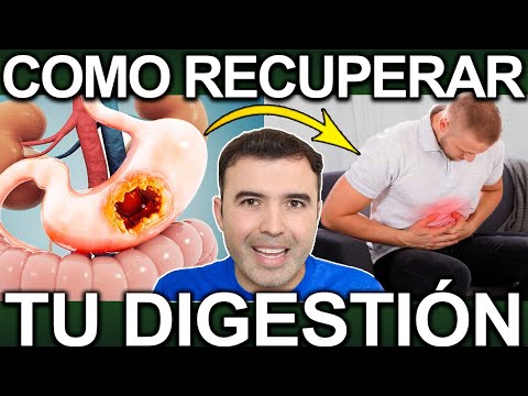 COMO RECUPERAR TU DIGESTION DESPUES DE LAS FIESTAS