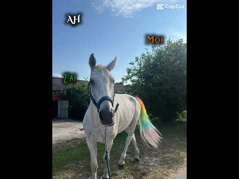 La licorne #horse #horsetraining