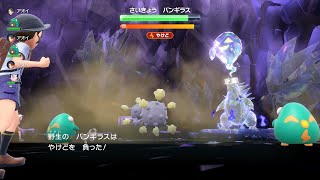 一人四役で最強のバンギラスを攻略する ポケットモンスター スカーレット/バイオレット ゼロの秘宝 碧の仮面/藍の円盤 #61