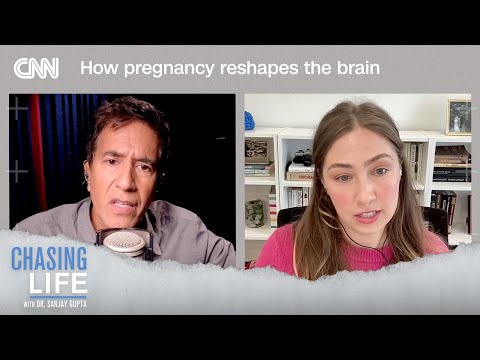 How pregnancy reshapes the brain | Chasing Life
