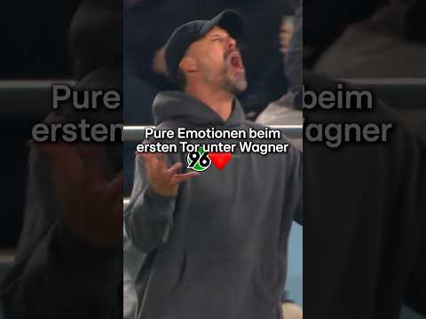Dieses Tor bedeutet Hannover und Sandro <strong>Wagner</strong> richtig viel!