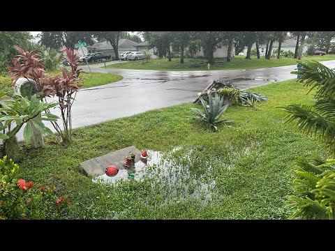 Флорида 🌴	«Когда шторм отступил… Утро с благодарностью»Гуляю с Кнопой 🔴