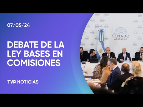 Ley de Bases: Francos expuso en comisiones de Senadores