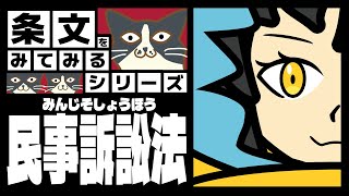 【 民事訴訟法 】実はじゃこにゃーさんが一番苦手な科目かも『民事訴訟法』!!【条文をみてみるシリーズ】