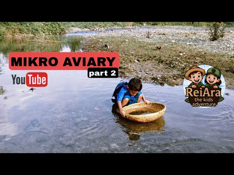 MIKRO AVIARY part 2 | ReiAra the kids adventure