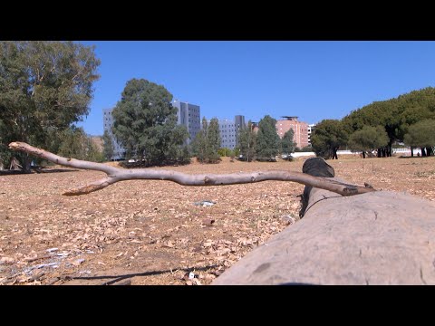El PSOE Sevilla pide al Ayuntamiento recuperar la Laguna del Sapo