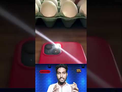 এই ট্রিক জানলে কখনো পচা ডিম কিনবে না 🥚📱 #youtubeshorts #viralvideo #trendingnow #samtheloser