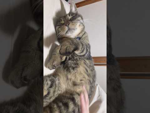 こんなに可愛い生き物が生きてる地球って最高だな