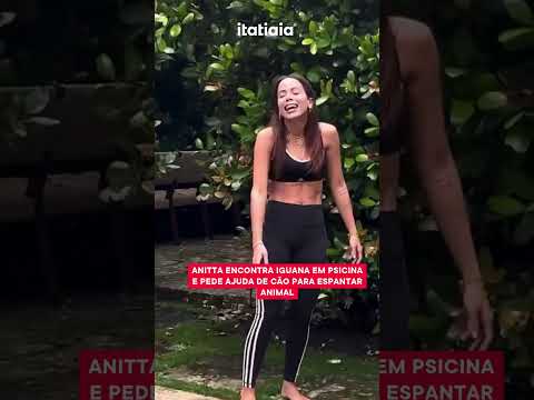 ANITTA ENCONTRA IGUANA EM PISCINA E PEDE AJUDA DE CÃO PARA ESPANTAR ANIMAL