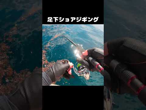 thumbnail_qgnIOXJ37Tk