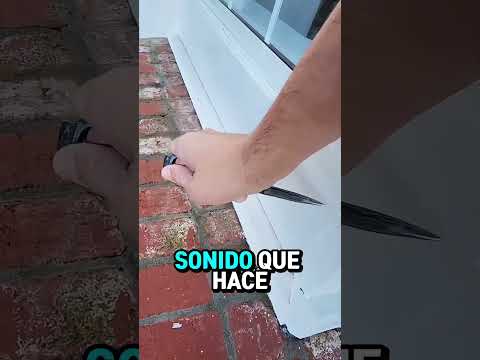 Este inspector de viviendas cobra $300 la hora.#shorts