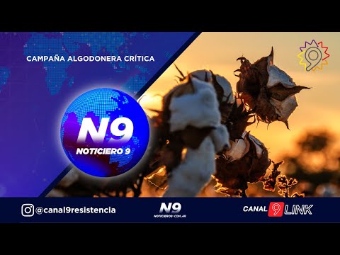 CAMPAÑA ALGODONERA CRÍTICA - NOTICIERO 9