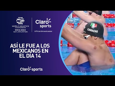 Así le fue a los mexicanos en el día 14 del Mundial de Natación Doha 2024