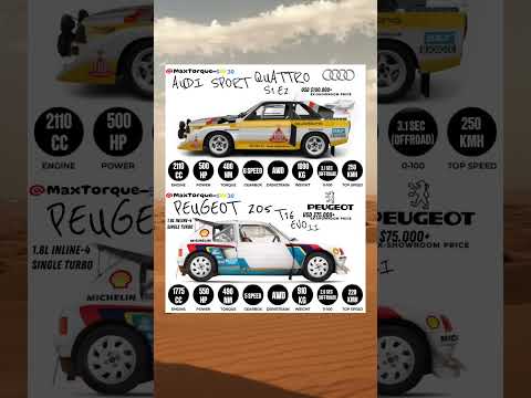 Group B Gods Showdown: Audi Sport Quattro S1 vs. Peugeot 205 T16 Evo 2 #quattro #vs #205 #showdown