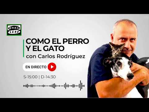 Como el Perro y el Gato 28/01/2024