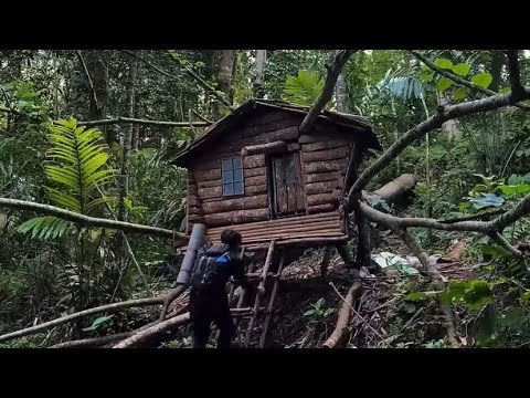 Bikin tempat berlindung untuk bermalam di hutan, bushcraft survival. ASMR