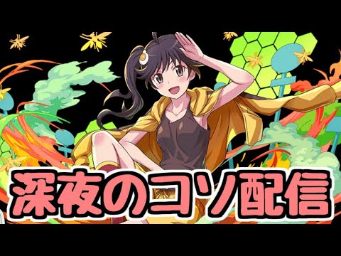 【生放送】深夜のコソ配信 物語育成＆チィドラシェヘドラ集めなど【パズドラ】