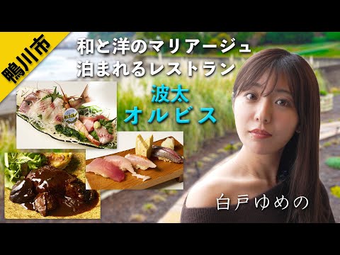 千葉・鴨川の海を望むオーベルジュ「波太オルビス」 こだわり食材を使ったランチが好評 白戸ゆめのが贅沢体験