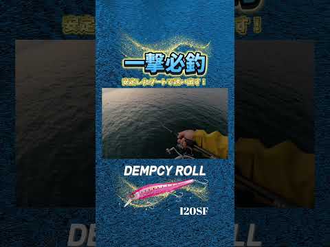 安定したダートがサワラを惹きつけるポイント　#fishing #ミノー #釣り #サワラ