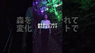 チームラボ 幽谷隠田跡#チームラボ #チームラボ #teamlab#北茨城市 #アート#綺麗#茨城県