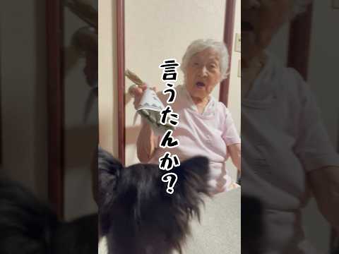 おばあの推し知ってる❓