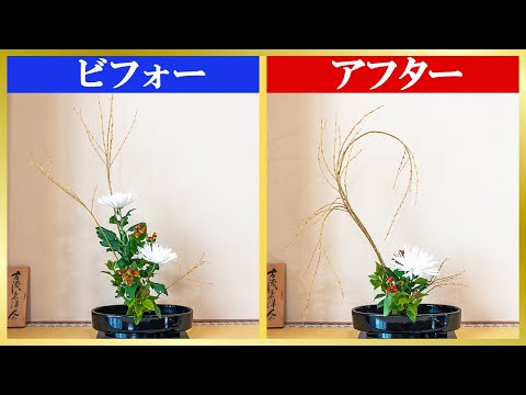 【ビフォーアフター】そこそこ上手な生け花をプロが手直ししてみたら