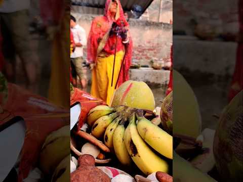 chhathi Maiya hohiya sahay #chathpuja #live #song #love #youtubeshorts