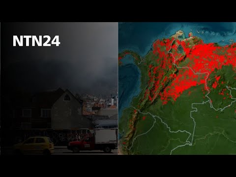 Alerta roja por incendios forestales en más de la mitad de los municipios de Colombia
