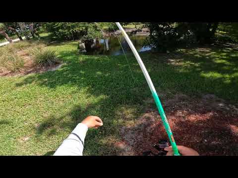 Scooter canal hopping bullseye snakehead! video thumbnail