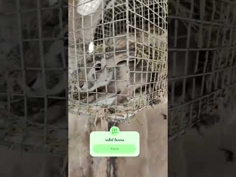 #khesari #bhojpurisong #bhojpuri #song #khurda #khushi #roshan