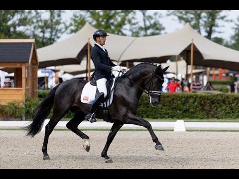 Guillermo García y Verso de Susaeta en la Small Final de 6 años (78.600%)