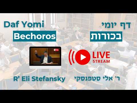 מרכז דף יומי -  בכורות דף ל. - ר' אלי סטפנסקי שליט"א (לא ערוך)