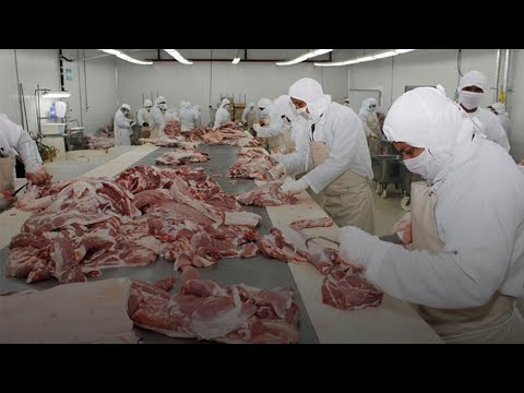 Exportadores buscan nuevo mercado para carne bovina que antes era vendida a Taiwán