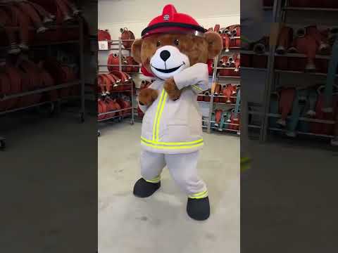 What I really, really want: Test your smoke detector! #Bjørnis #dance