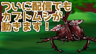 [LIVE] 活動開始2年目のお祝い配信[Live030匹目]